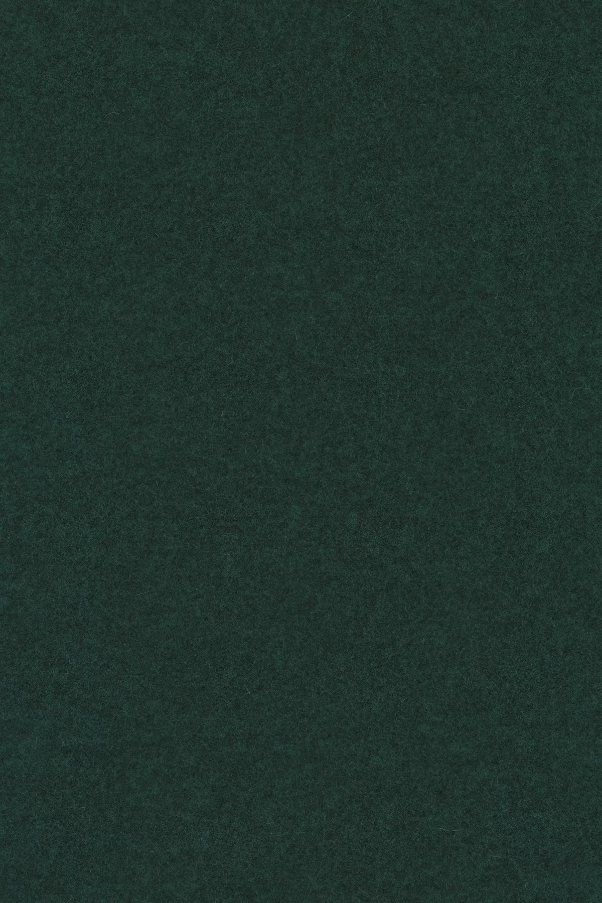 Divina melange 3, 871